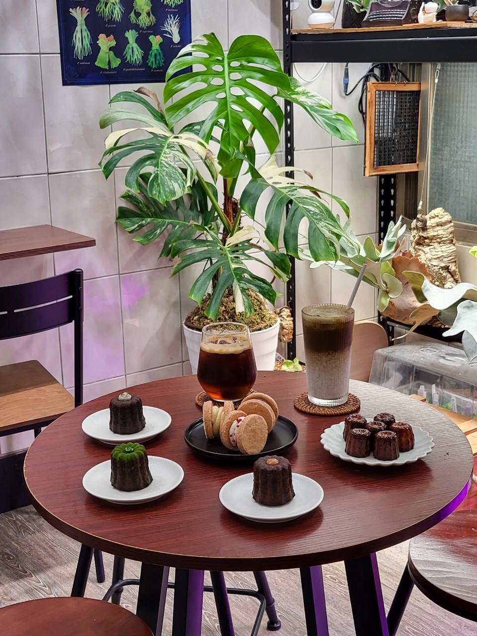 豆林甜點櫃